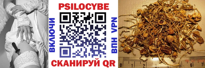 Псилоцибиновые грибы Psilocybe  mega онион  Кизел 